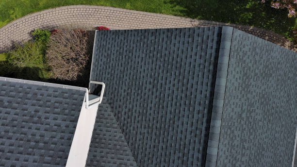 Best Steel Roofing  in Temple, PA